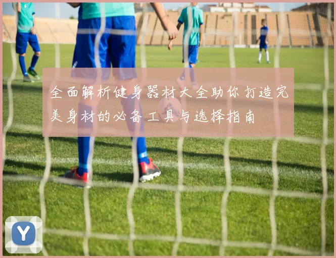 全面解析健身器材大全助你打造完美身材的必备工具与选择指南